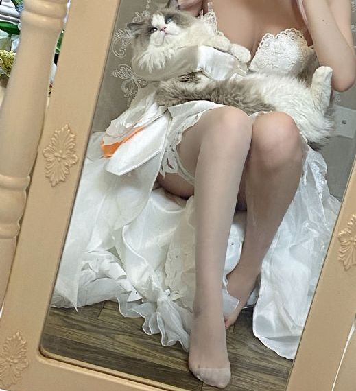 把腿扒开做爽爽视频_DVD免费观看电视剧